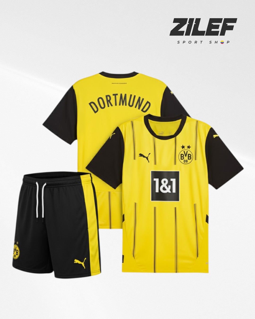 BORUSSIA DORTMUND PLAYER AND VISITOR